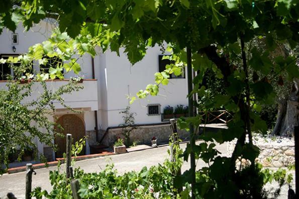 Agriturismo ParcodaiNonni Ischitella Exterior foto